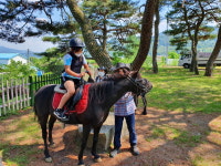 우리 학교 최고 - Ⅱ. 제천 화당초등학교