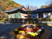 깊어가는 가을 아산, 나들이객 유혹