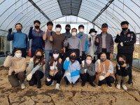 충북문화재단 임직원, 농촌일손돕기 구슬땀