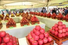 보은군, 차별화된 농특산물 육성