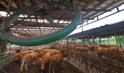 태안군, 가축사육환경 개선 47억 투입 축산농가 경쟁력 키운다