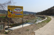 예산 황새, 대술 궐곡 옛 황새 번식지에 첫 부화