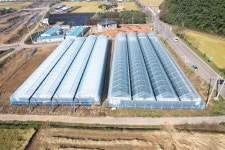 커피·블루베리도 스마트팜 보급… 농업 디지털화 집중 투자