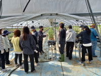 부여 석성면, 외국인 인력부족  농가 일손돕기