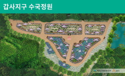 계룡산국립공원 갑사 수국정원 개장.