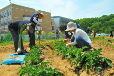 [인터뷰] 최인자 세종시농업기술센터 소장