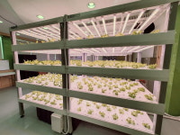 [인터뷰] 최인자 세종시농업기술센터 소장