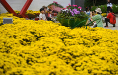 청원생명축제, 기념촬영하는 시민들