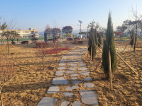 증평 도안초 도시바람길 숲 조성사업 완공