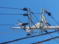 한전 충북본부 농사용 폐자재 정전·산불 원인 될 수 있어