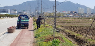충주시 사과나무길, 지역명소로 새 단장