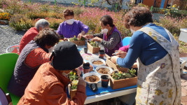 새로운 복지모델 진천군 생거진천 케어팜(carefarm)