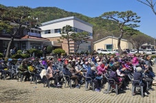 부여 내산면, 한마음 벚꽃축제 '대성황'