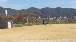 음성 생극·맹동 파크골프장 꽃단장