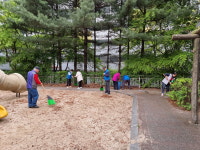 천안시 쌍용3동 노인회, 깨끗한 마을만들기 정화 활동 실시