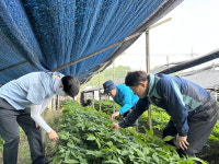 청주시 상생소통담당관, 남이면 농가 찾아 일손 도우며 구슬땀