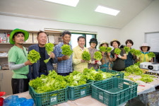 증평군 화성 3리, 양액재배 농산물 출하 개시