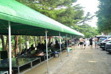 충북 도내 계곡 불법 평상영업 기승