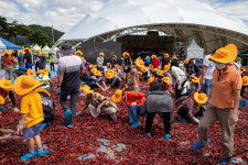 속풀이 난타·핫치맥 페스티벌… 괴산 고추축제서 스트레스 날리자