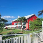 관상닭 시장 개척 진천 에코팜 석지훈 대표