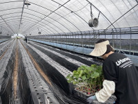 세종여성플라자, 여성농업인에 일손 보태