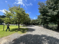 문화공간으로 탈바꿈한 충북 농촌 폐교 - 명돌청소년야영장