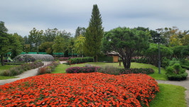 대전·세종·충남, 어제보다 1도가량 낮아  쌀쌀