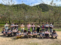 음성 동성유치원, 지난 11일 사과 따기 체험학습