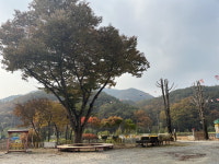 문화공간으로 탈바꿈한 충북 농촌 폐교 - 느티나무학교