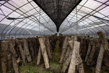 문의 지역민 위한 열컷 사진과 한 편의 인생스토리 한눈에