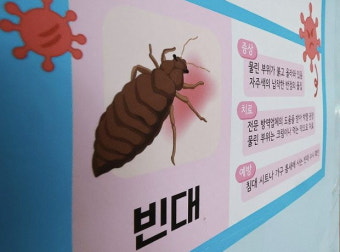 충청권 빈대 공포 확산… 충북, 충주 원룸서 첫 발견