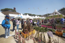 รูปภาพผลการค้นหา Naver 5
