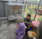 속리산 테마파크 식물원에 관상조류 체험관 오픈