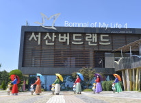 국내 최대 철새도래지 서산 천수만과 버드랜드