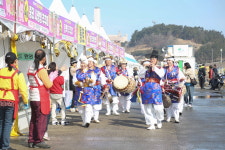 오감 만족 서천 동백꽃·주꾸미 축제 개막