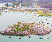 충북 봄꽃 명소에서 인증샷 찍고 상품권 받자