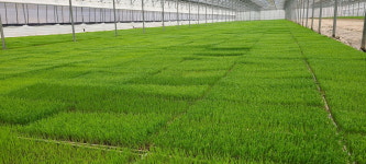 음성군, 상토·농약·비료 등 적기 영농자재 공급