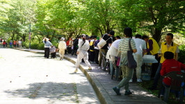 Foto hasil pencarian Naver 6