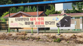 보은 산외초 인근 돼지축사 악취 … 주민 ·학생 고통 호소