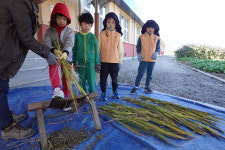 우리학교 최고 - 충주 가흥초등학교