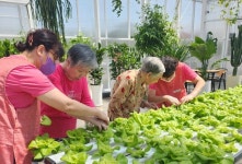 농업활동 통한 고용·재활 지원 아산 인주농협 케어팜