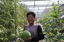 자식보다 귀한 수박 재배 뿌듯