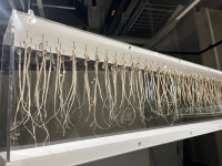 통합 청주시 10주년 특별 전시 2題