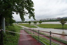 이장우 대전시장, 집중호우 신속 대처 주문