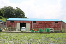 근대 건축물 괴산 청천농협창고·양조장  보존 필요