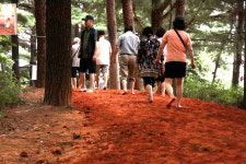 선양소주, 추석 맞아 대전 계룡스파텔 황톳길 새 단장
