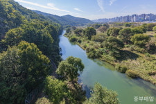 발로 쓰는 금강별곡 - 34. 금강의 생태 보루 갑천 습지