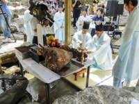 발로 쓰는 금강별곡 - 37. 세종 부강은 금강의 핫플이었다