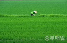 청주시, 55억원 투입 영농자재 조기 지원