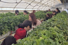 보은군 드림스타트 봄나들이 가족 체험